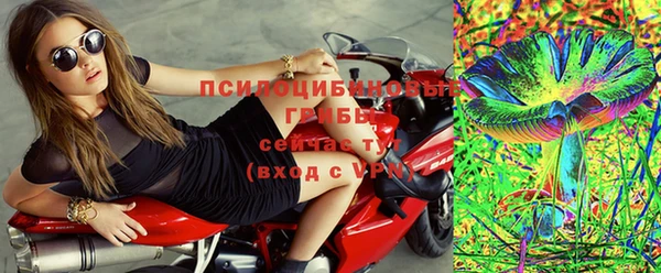 трава Балахна