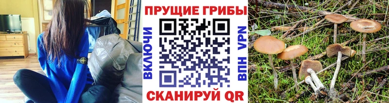 MEGA сайт  shop телеграм  Псилоцибиновые грибы мухоморы  Кулебаки 